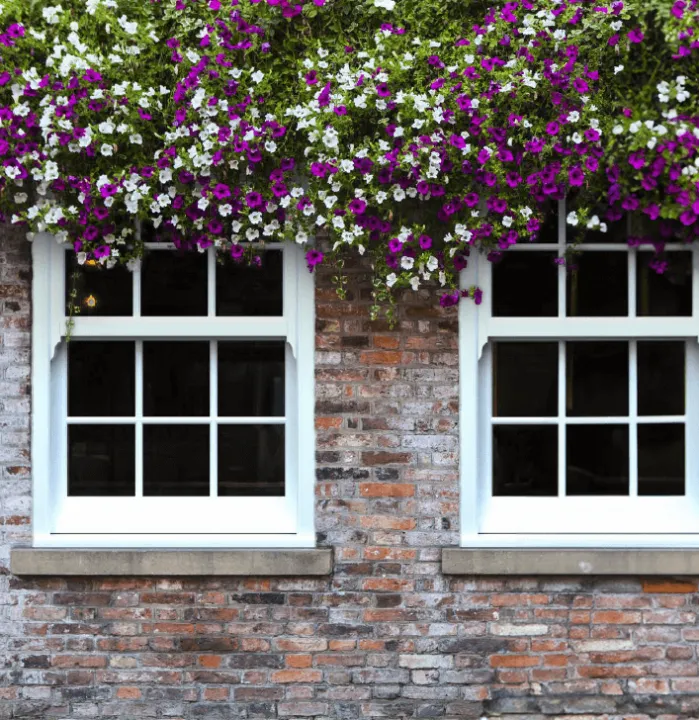 Dual sliding sash windows