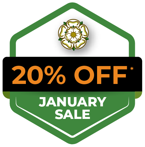20% off January Sale